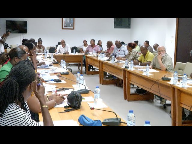 ⁣Réunion du Conseil Municipal de Vieux-Habitants .