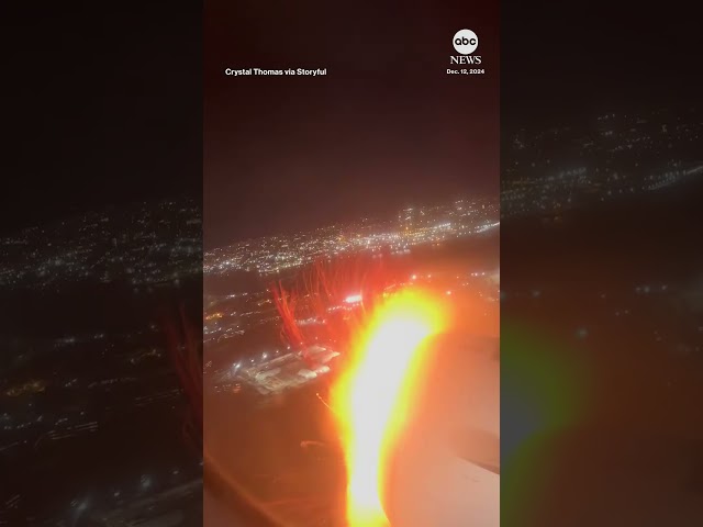 ⁣Moment an apparent bird strike forces an American Airlines flight to make an emergency landing