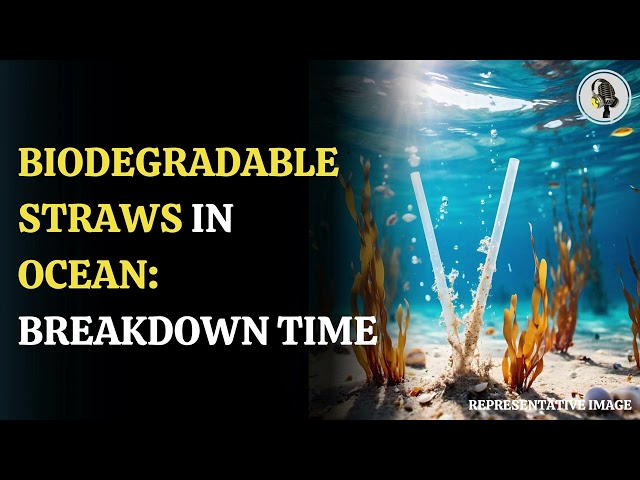 ⁣How Fast Do Biodegradable Straws Degrade: Study Reveal | WION Podcast