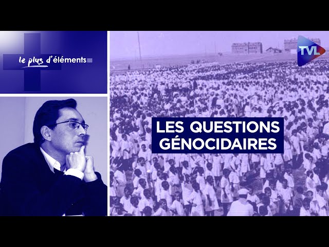 ⁣Les questions génocidaires - Le plus d’Éléments - TVL