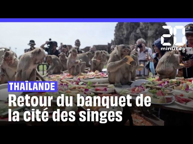 ⁣Retour du banquet annuel des singes de la ville de Lopburi en Thaïlande