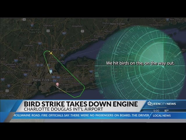 ⁣Passengers describe experiencing bird strike on American flight