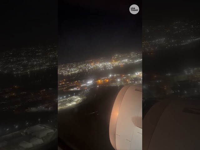 ⁣American Airlines flight forced to land after stiking bird #Shorts