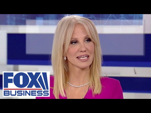 ⁣Kellyanne Conway: This is a disaster for the Democratic Party