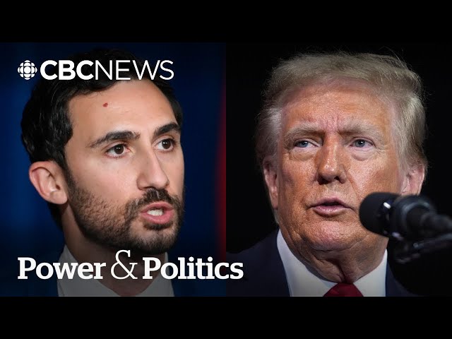 ⁣Will Ontario cut energy exports to the U.S. if Trump imposes tariffs? | Power & Politics