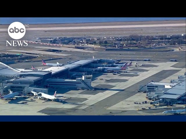 ⁣Bird strikes American Airlines plane forcing an emergency landing