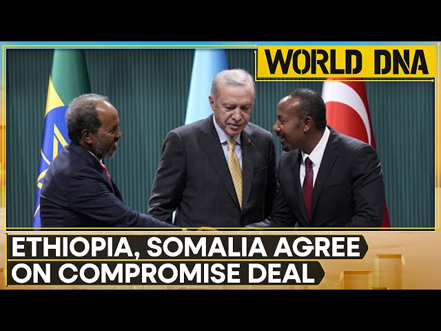 ⁣Somalia, Ethiopia Agree On Compromise To End Tensions, Turkish Leader Says | World DNA | WION