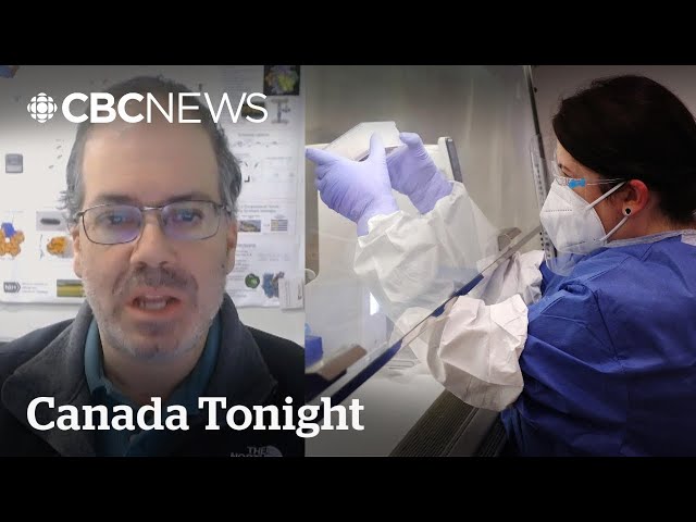 ⁣Why some scientists are calling for mirror cell research to be banned | Canada Tonight