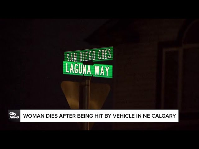 ⁣Woman dies after being hit by vehicle in NE Calgary