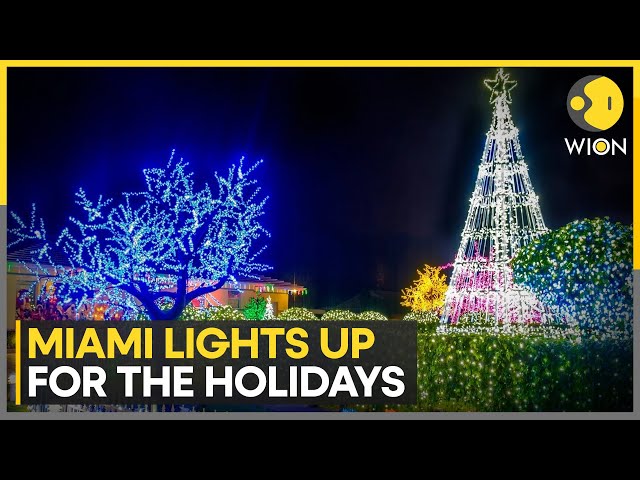 ⁣Miami Gleams With Holiday Spirit As The City Sparkles For The Festive Season | World News | WION