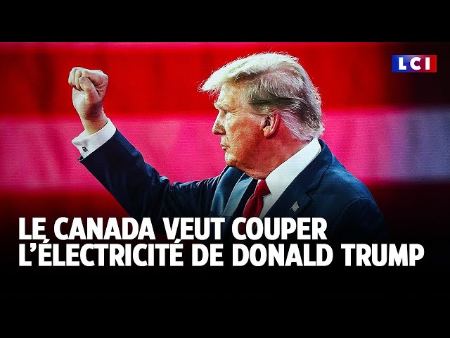 ⁣En riposte aux menaces de Trump, une province canadienne envisage de lui couper son électricité｜LCI