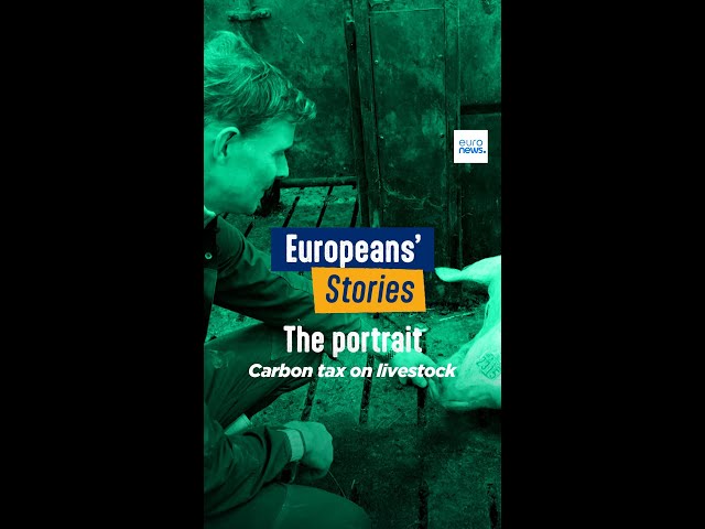 ⁣EP9 | Portrait: Danish livestock farmers concerned over carbon tax