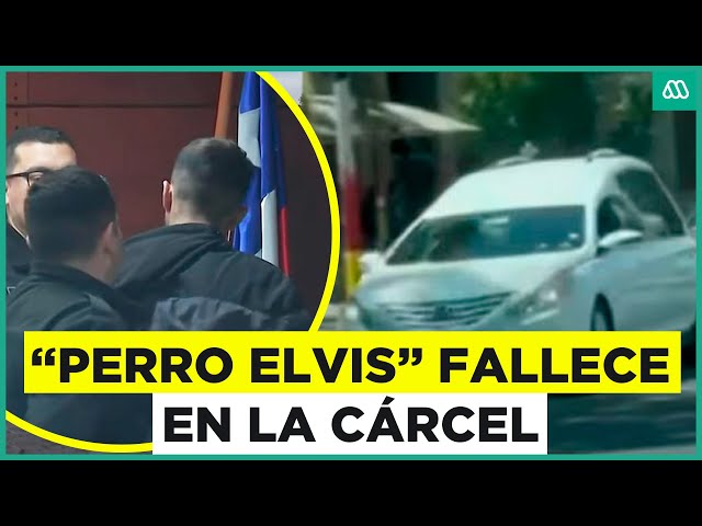 ⁣Fallece sicario "Perro Elvis": Fue apuñalado por banda rival en la cárcel