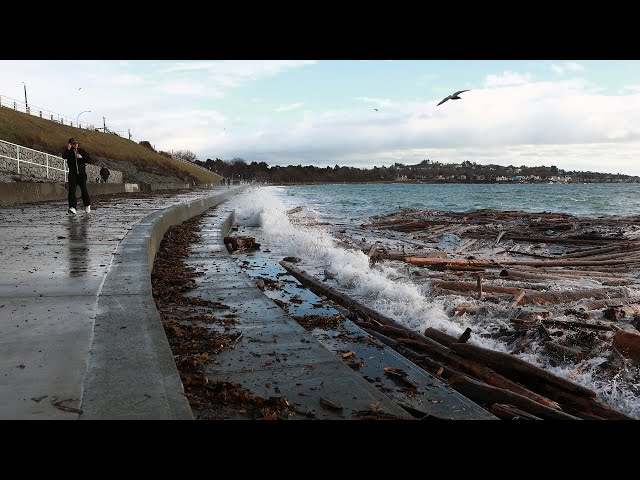 ⁣Environment Canada warns of storm headed to coastal B.C.