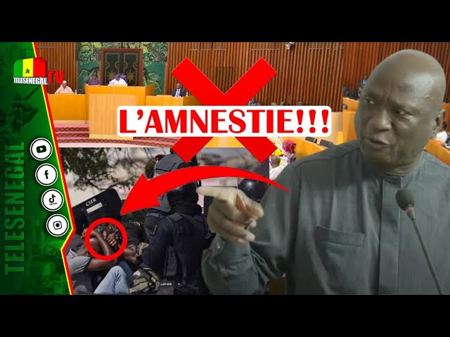 ⁣Suppression définitive CESE, HCCT, loi d'amnistie… Abdou Sané détaille les travaux urgents de l