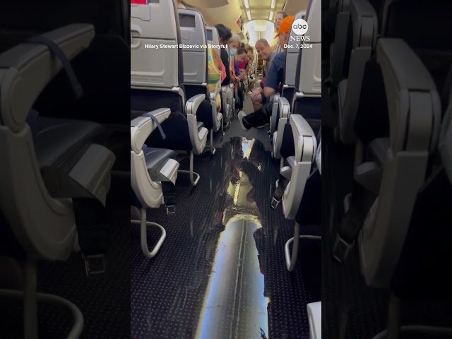 ⁣Water leak floods aisle on American Airline flight