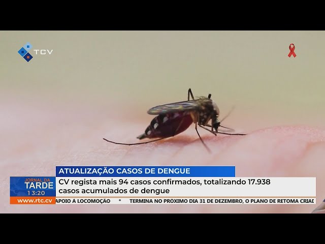 ⁣Cabo Verde regista mais 94 casos confirmados, totalizando 17.938 casos acumulados de dengue