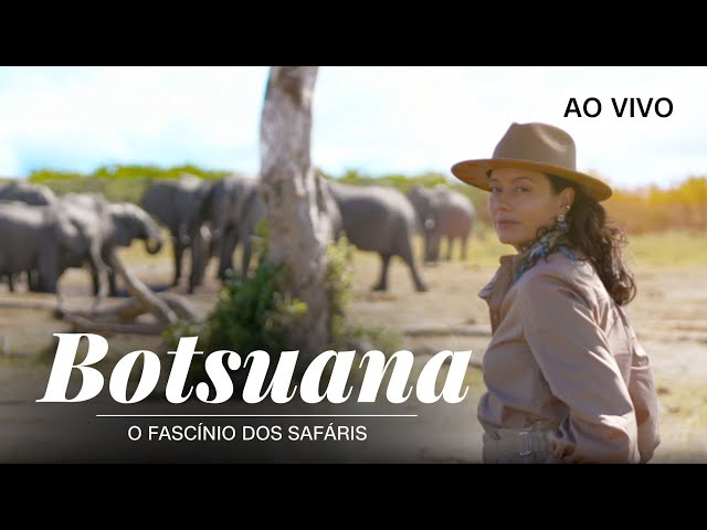 ⁣AO VIVO: CNN Viagem & Gastronomia | Botsuana: Safari no coração da savana - 14/12/2024