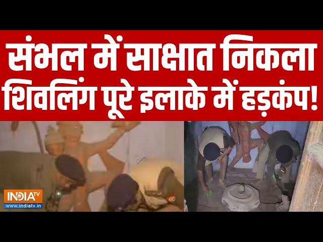 ⁣Hanuman Mandir Found in Sambhal LIVE: संभल में साक्षात निकला शिव लिंग पूरे इलाके में हड़कंप!