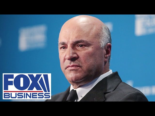 ⁣O’Leary goes off on Dems for pushing out capital: ‘This is what I’m talking about’