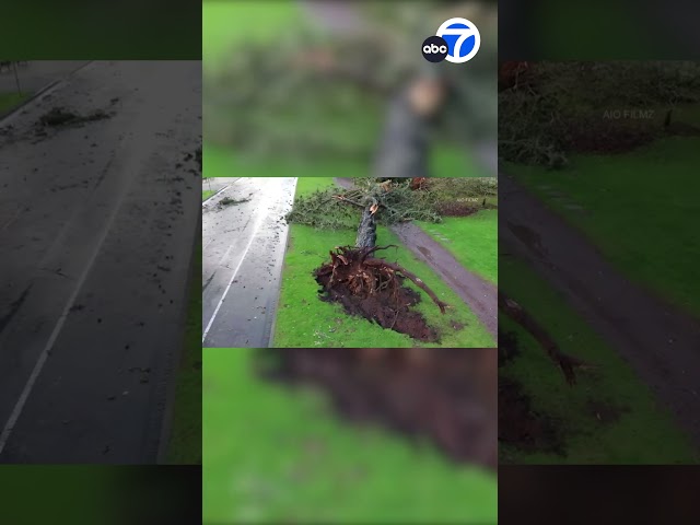 ⁣Storm triggers San Francisco's first-ever tornado warning