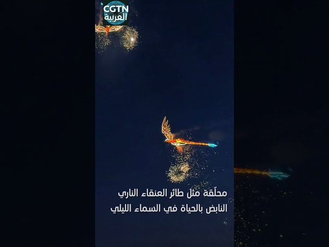 ⁣عرض الألعاب النارية الساحرة في هونان يبهر روّاد الإنترنت