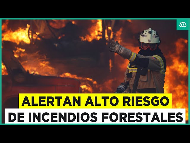 ⁣Alertan alto riesgo de incendios forestales en Chile