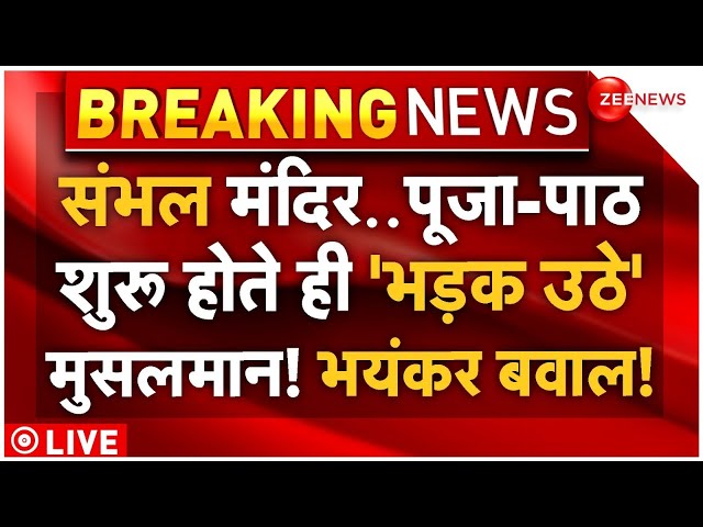 ⁣Massive Clash on Sambhal Mandir Pooja! LIVE: संभल मंदिर में पूजा शुरू, भड़के मुसलमान? |Breaking News