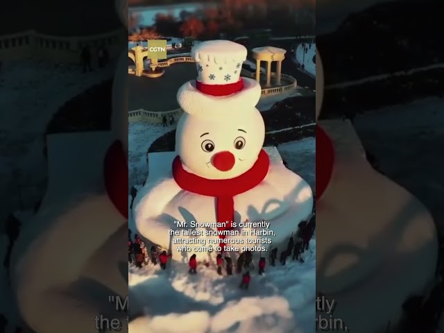 ⁣Meet the tallest snowman in NE China's Harbin