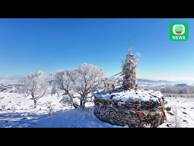 ⁣香港无线｜两岸新闻｜2024年12月15日｜两岸｜【中华掠影】内蒙札鲁特旗下雪 不少绿叶未变黄已被冰雪覆盖｜TVB News