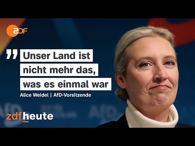 ⁣Die AfD und ihre Außenpolitik | Berlin direkt