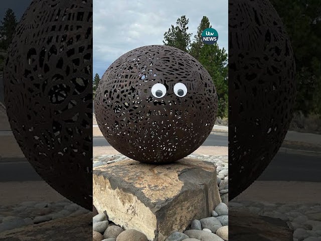 ⁣Council pleads with residents to stop the googly eyes #itvnews