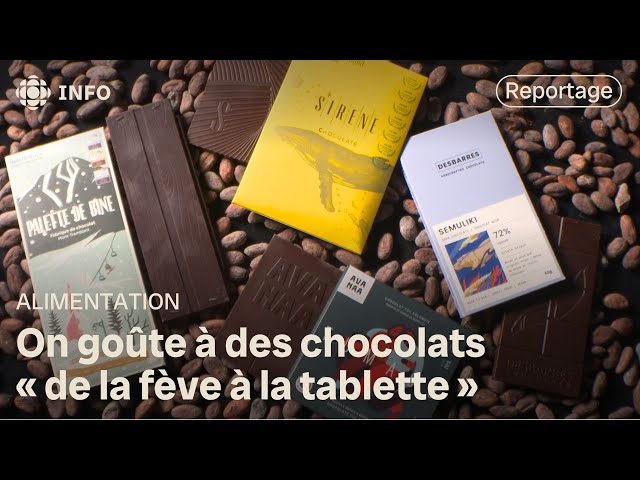 ⁣Un test de goût de chocolats fins | L'épicerie