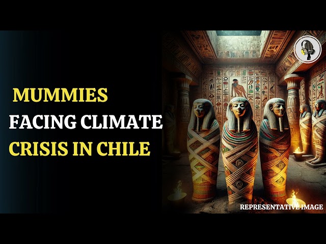 ⁣Climate Change Threatens the World’s Oldest Mummies in Chile. | WION Podcast