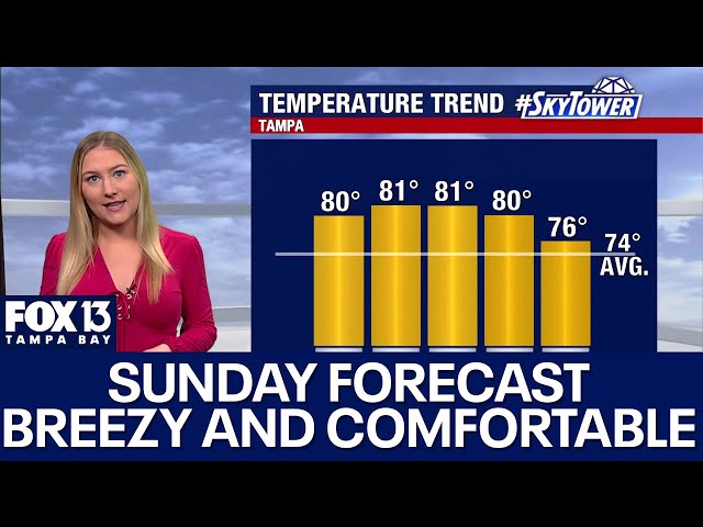 ⁣Tampa weather | Breezy and comfortable temps