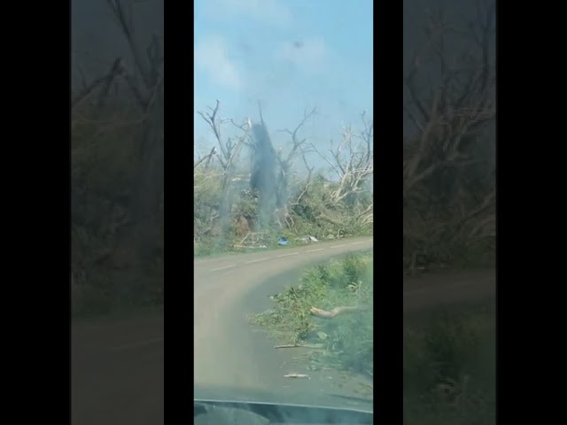 ⁣Cyclone Chido à Mayotte : des images apocalyptiques 