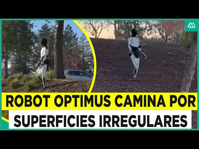 ⁣Ya no es ciencia ficción: Robot Optimus camina por superficies irregulares