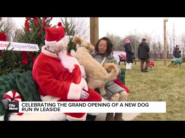 ⁣Celebrating the grand opening of a new dog run in Leaside