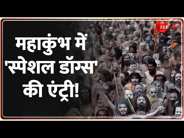 ⁣महाकुंभ में 'स्पेशल डॉग्स' की एंट्री! | Mahakumbh 2025 Update | Prayagraj | Naga Sadhus | 