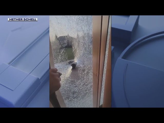 ⁣Neighbor accidentally fires bullet into house, narrowly missing man in kitchen