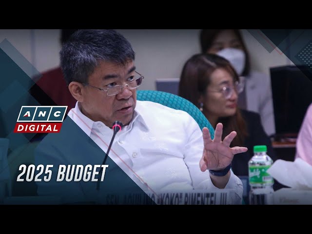 ⁣Lawmaker raises 3 possible constitutional issues in proposed 2025 budget | ANC