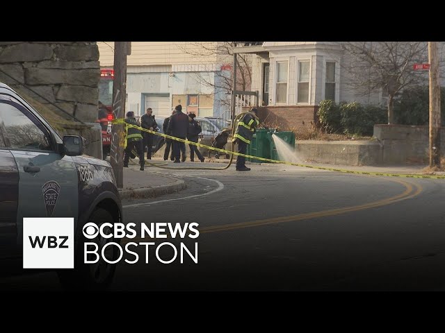 ⁣Man allegedly waving gun shot by police in Fitchburg