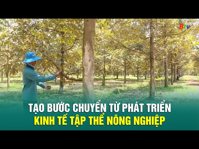 ⁣Tạo bước chuyển từ phát triển kinh tế tập thể nông nghiệp