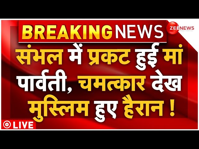 ⁣New Temple In Sambhal Big Breaking LIVE: संभल में प्रकट हुई मां पार्वती, चमत्कार देख मुस्लिम हैरान!