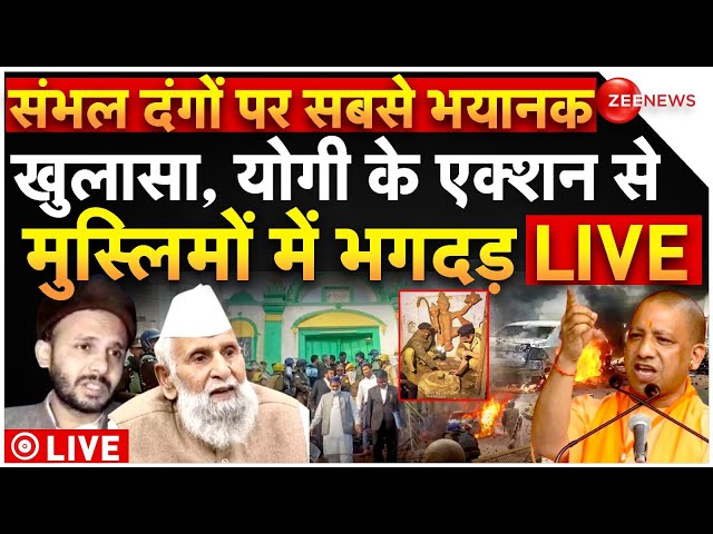 ⁣Sambhal Muslims Exposed LIVE: संभल दंगों का सबसे भयानक सच, योगी के एक्शन से मुस्लिमों में भगदड़