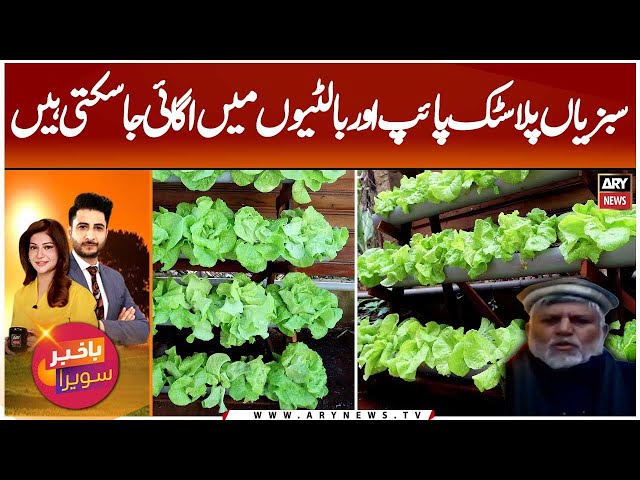 ⁣Vegetables Can Be Grown In Plastic Pipes And Buckets | Dr Roshan Ali