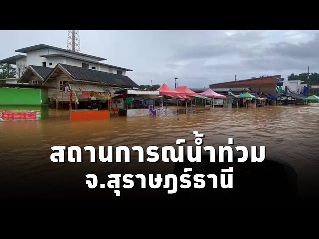 ⁣เพจ NBT Connext นำสำรวจสถานการณ์น้ำท่วมในพื้นที่ อ.กาญจนดิษฐ์ จ.สุราษฎร์ธานี