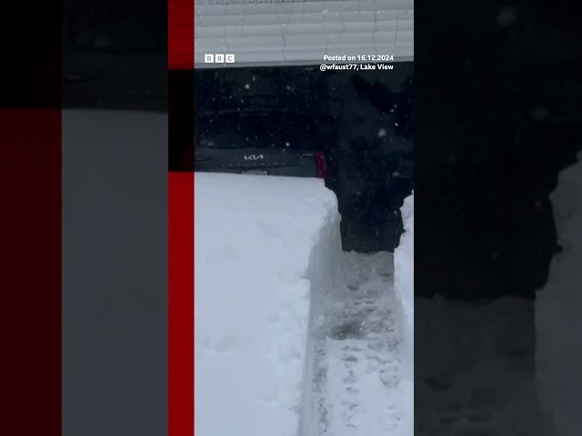 ⁣New Yorkers plough through 3ft of snow. #NewYork #BBCNews