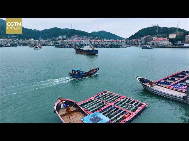 ⁣Déchiffrer la Chine : la technologie au service des pêcheurs