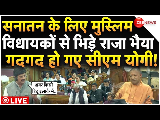 ⁣Raja Bhaiya On Sambhal In UP Vidhan Sabha LIVE: सनातन के लिए मुस्लिम विधायकों से भिड़े राजा भैया !